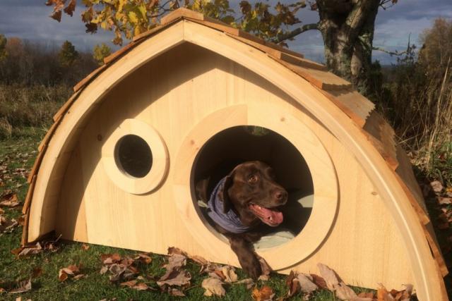 Направи си сам къща за кучета Чертежи на къщи за кучета за големи породи